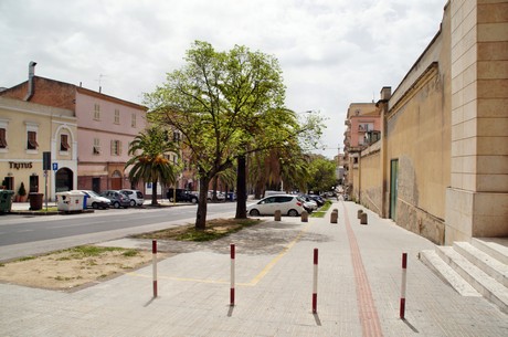 sassari