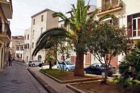 sassari