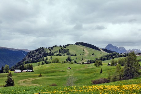 seiser-alm