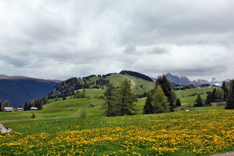 seiser-alm