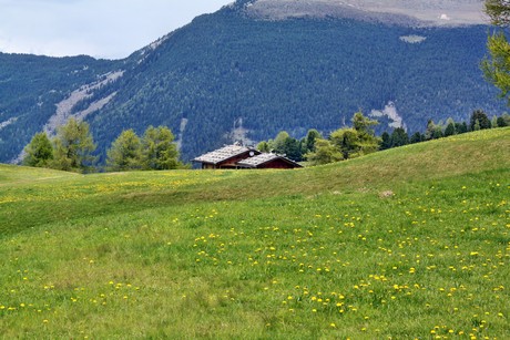 seiser-alm