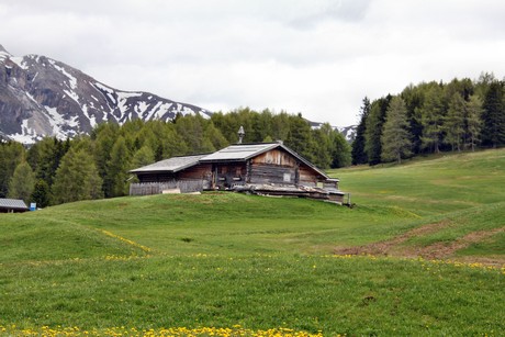 seiser-alm