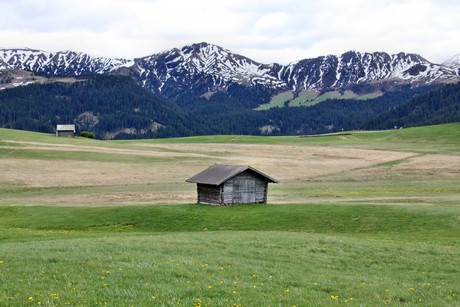 seiser-alm