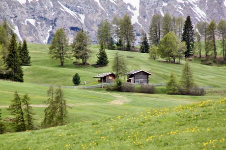 seiser-alm