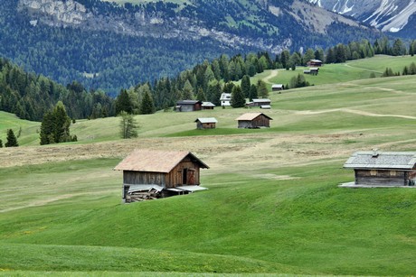 seiser-alm