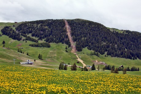 seiser-alm