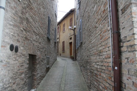 urbino