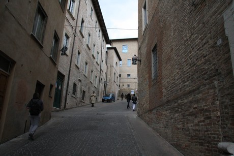 urbino