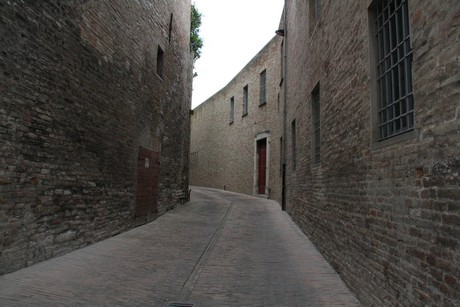 urbino