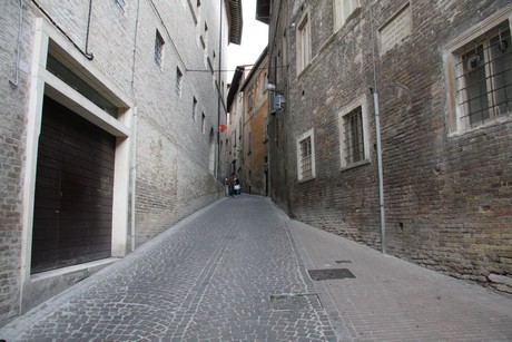 urbino