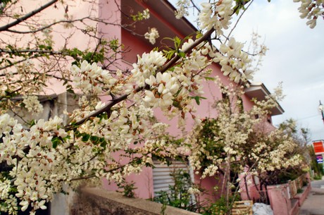 valledoria
