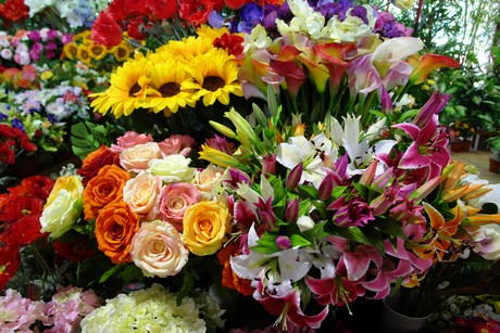 ventimiglia-markthalle