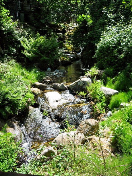 elba
