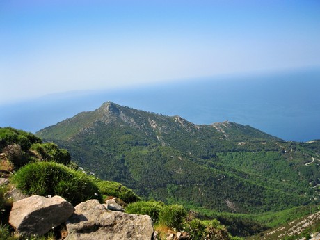 elba