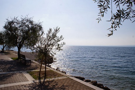 Garda
