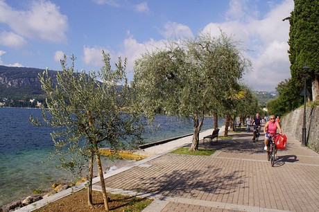 Garda
