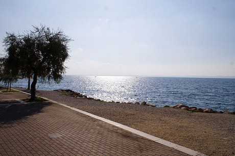 Garda