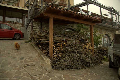 Oldesio
