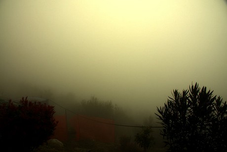 Oldesio
