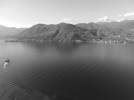 Portese