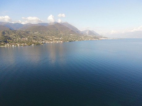 Portese