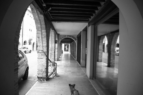 portogruaro