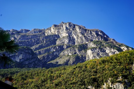 Riva