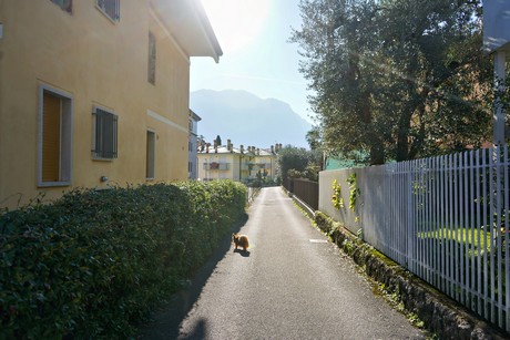 Riva
